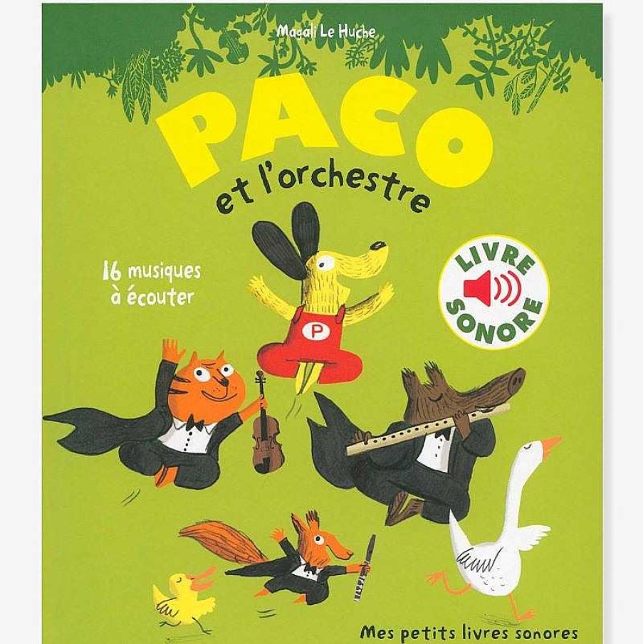 Lifestyle Gallimard Jeunesse Livres Pour Enfants | Paco Et L'Orchestre