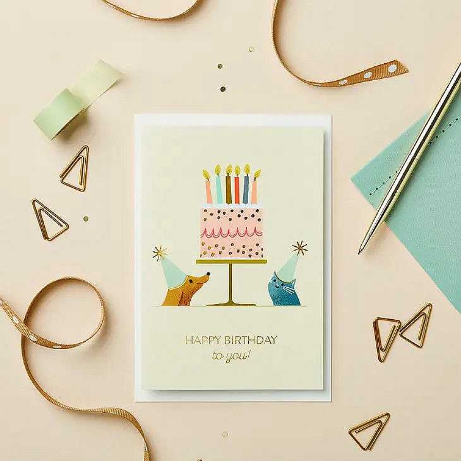 Lifestyle Stormy Knight Anniversaires | Carte "Happy Birthday To You !" Pets Party - Stormy Knight