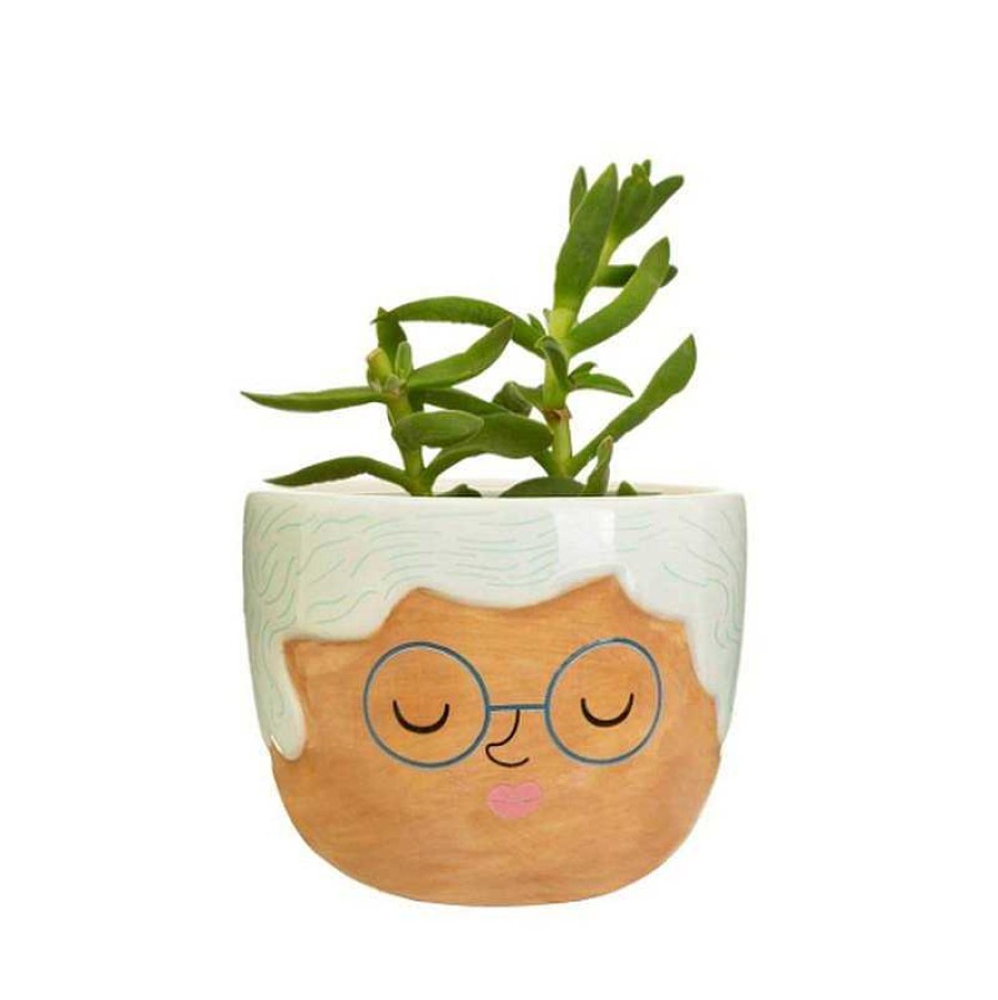 Lifestyle Sass & Belle Pots & Cache-Pots | Cache-Pot Mini Rose