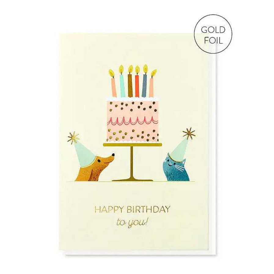 Lifestyle Stormy Knight Anniversaires | Carte "Happy Birthday To You !" Pets Party - Stormy Knight