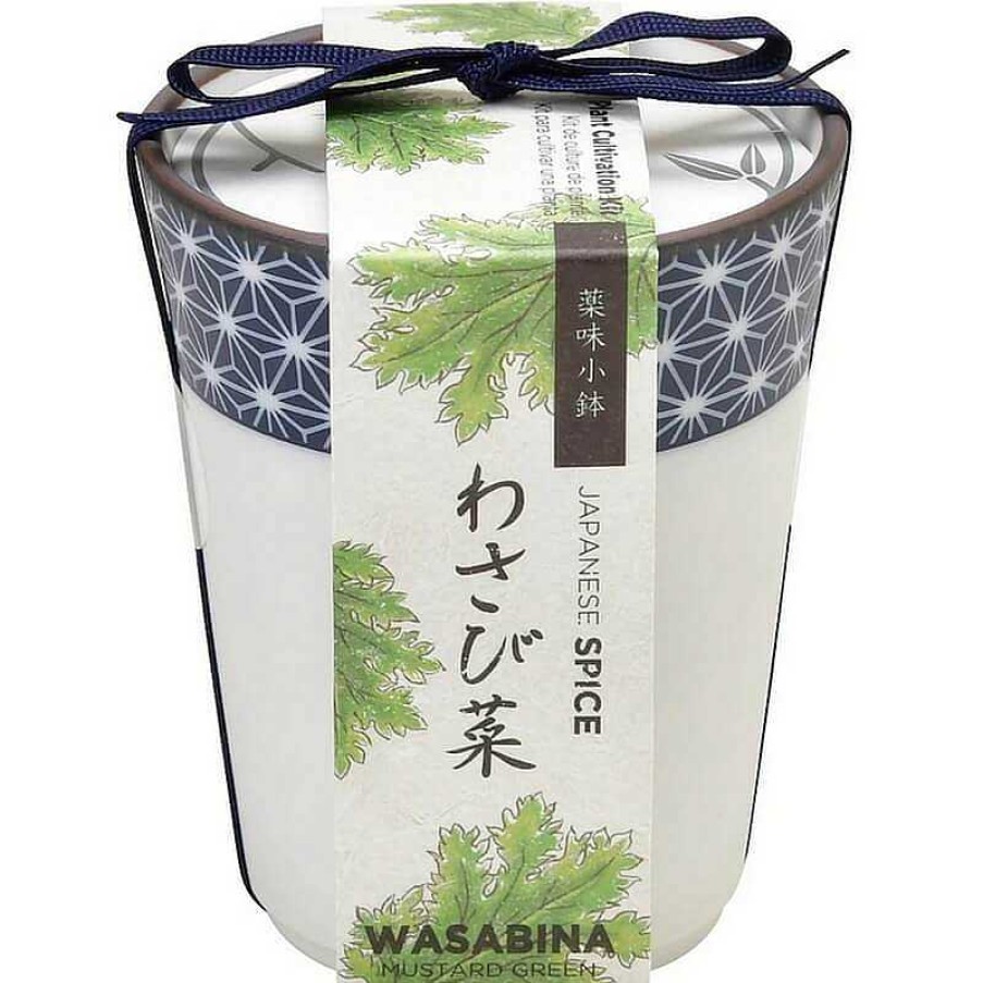 Lifestyle Noted Jardin | Herbes Japonaises Yakumi Wasabina - Noted