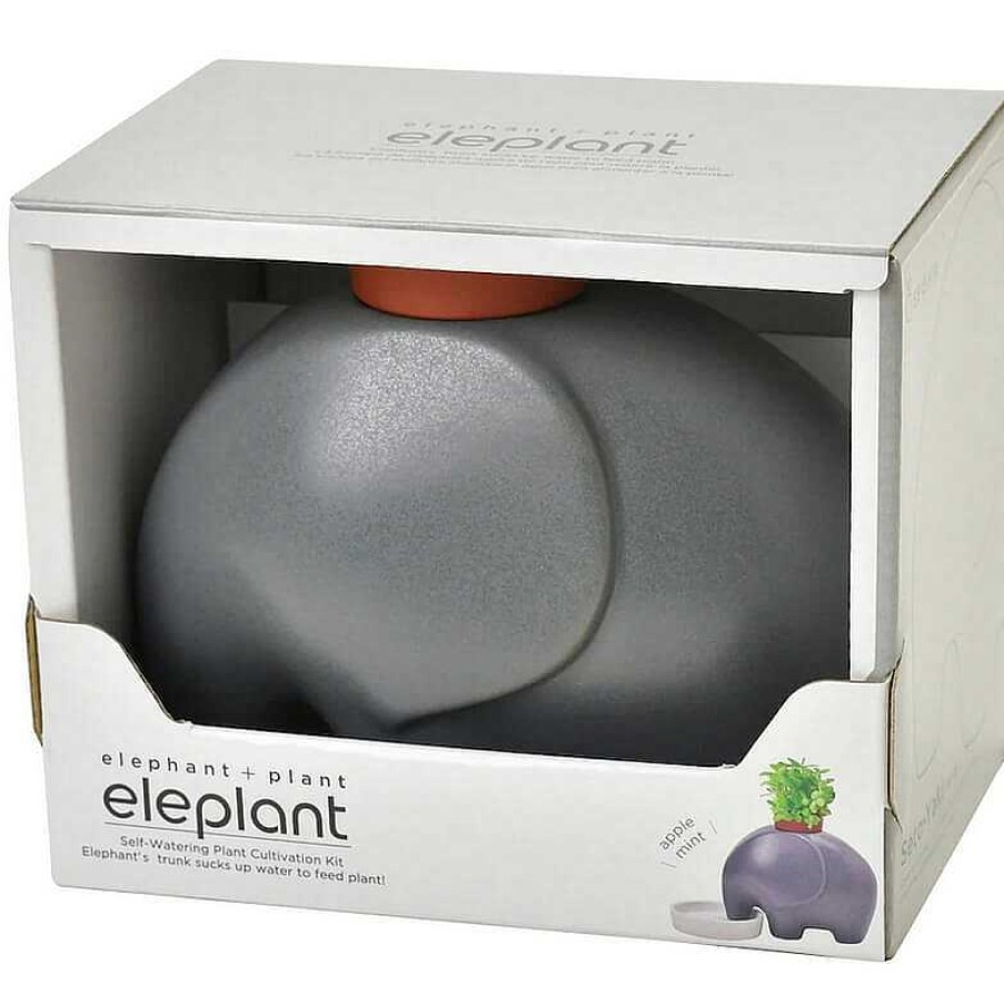 Lifestyle Noted Jardin | El Phant Plante A Faire Pousser Gris - Noted