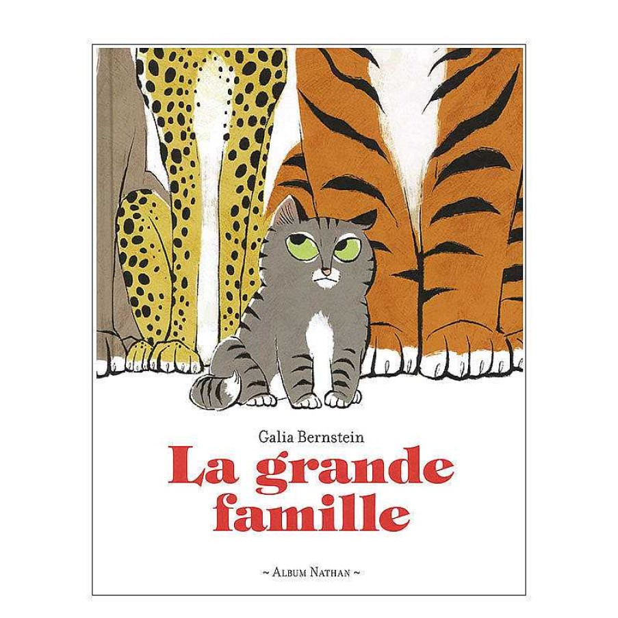 Lifestyle Nathan Livres Pour Enfants | Livre - La Grande Famille