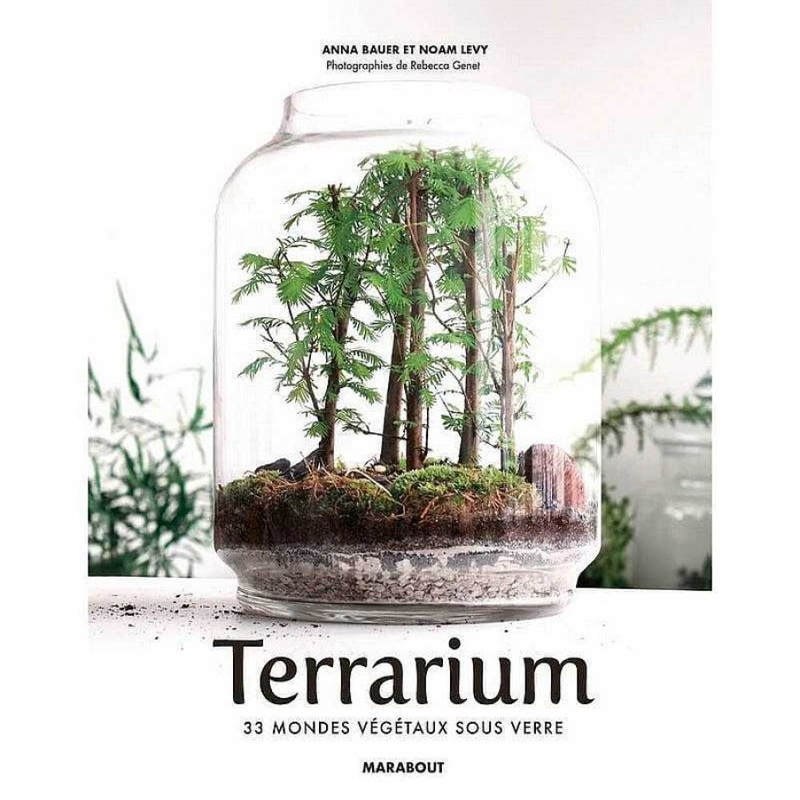 Lifestyle Marabout Livres Lifestyle | Livre - Terrarium