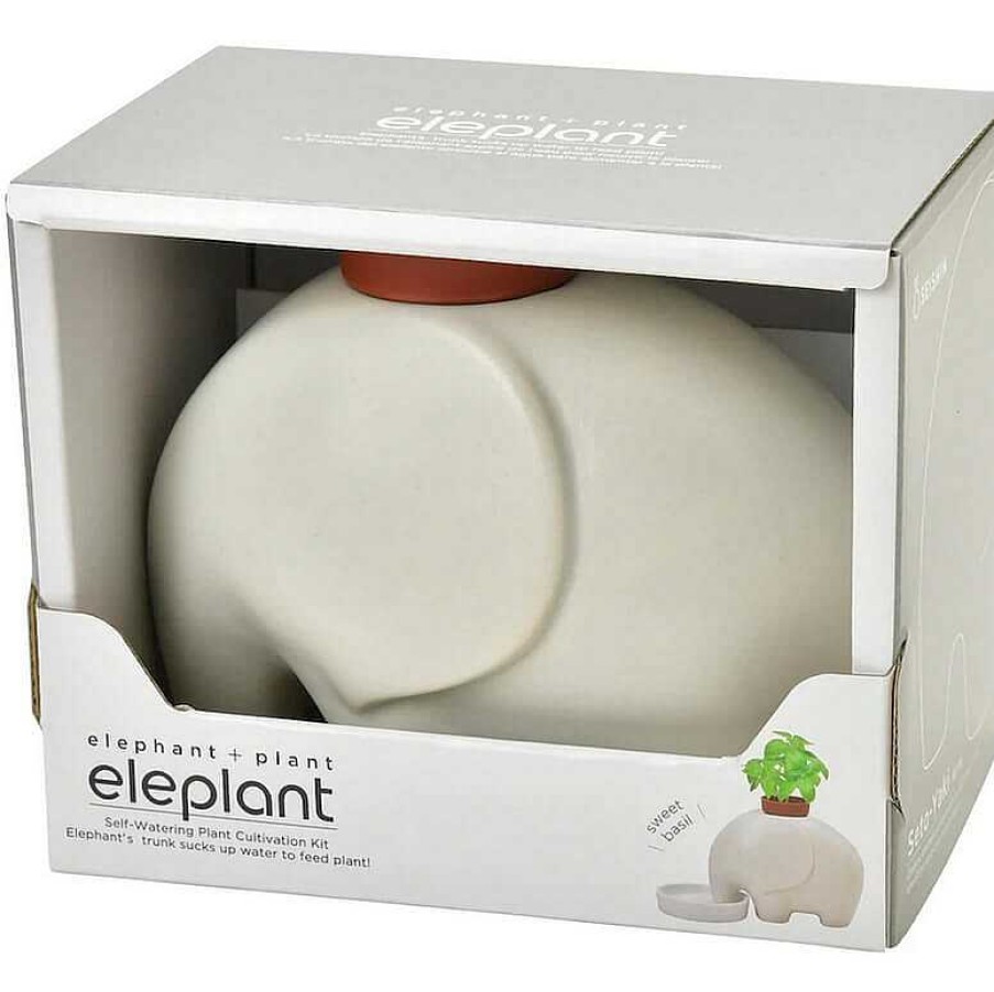 Lifestyle Noted Jardin | Eleplant Plante Faire Pousser Blanc - Noted