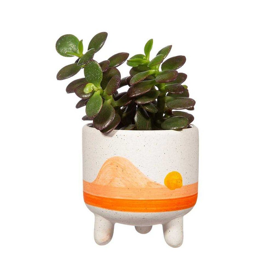 Lifestyle Sass & Belle Pots & Cache-Pots | Cache-Pot Mini Sunset