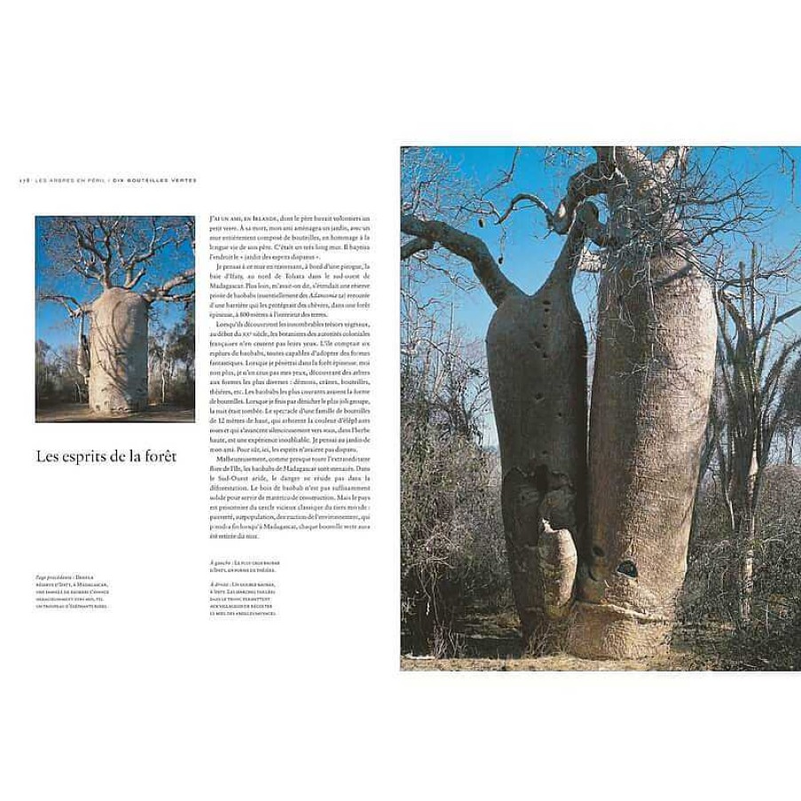 Lifestyle EPA Livres Lifestyle | Livre " Le Tour Du Monde En 80 Arbres " - Epa