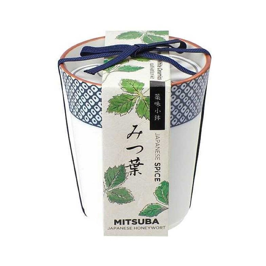 Lifestyle Noted Jardin | Herbes Japonaises Yakumi - Mitsuba