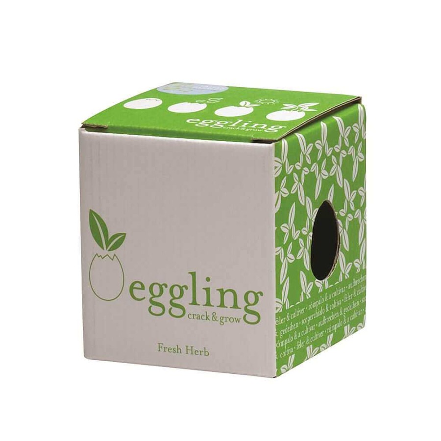 Lifestyle Noted Jardin | Eggling - Basilic