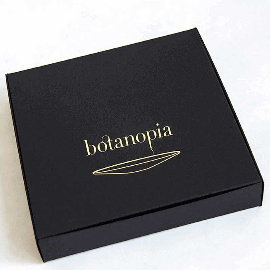 Lifestyle Botanopia Jardin | Coffret Cadeau - Pour Cultiver Des Plantes Dans L'Eau