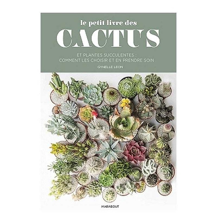 Lifestyle Marabout Livres Lifestyle | Le Petit Guide Marabout Des Cactus