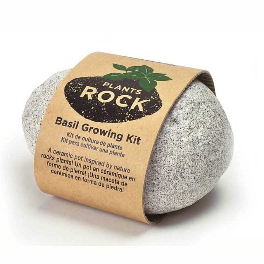 Lifestyle Noted Jardin | Plant Rock Gris - Basilic