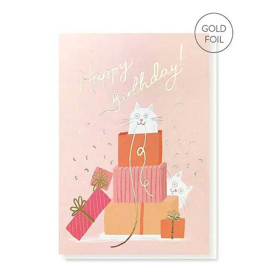 Lifestyle Stormy Knight Anniversaires | Carte Double "Happy Birthday" Chats - Stormy Knight